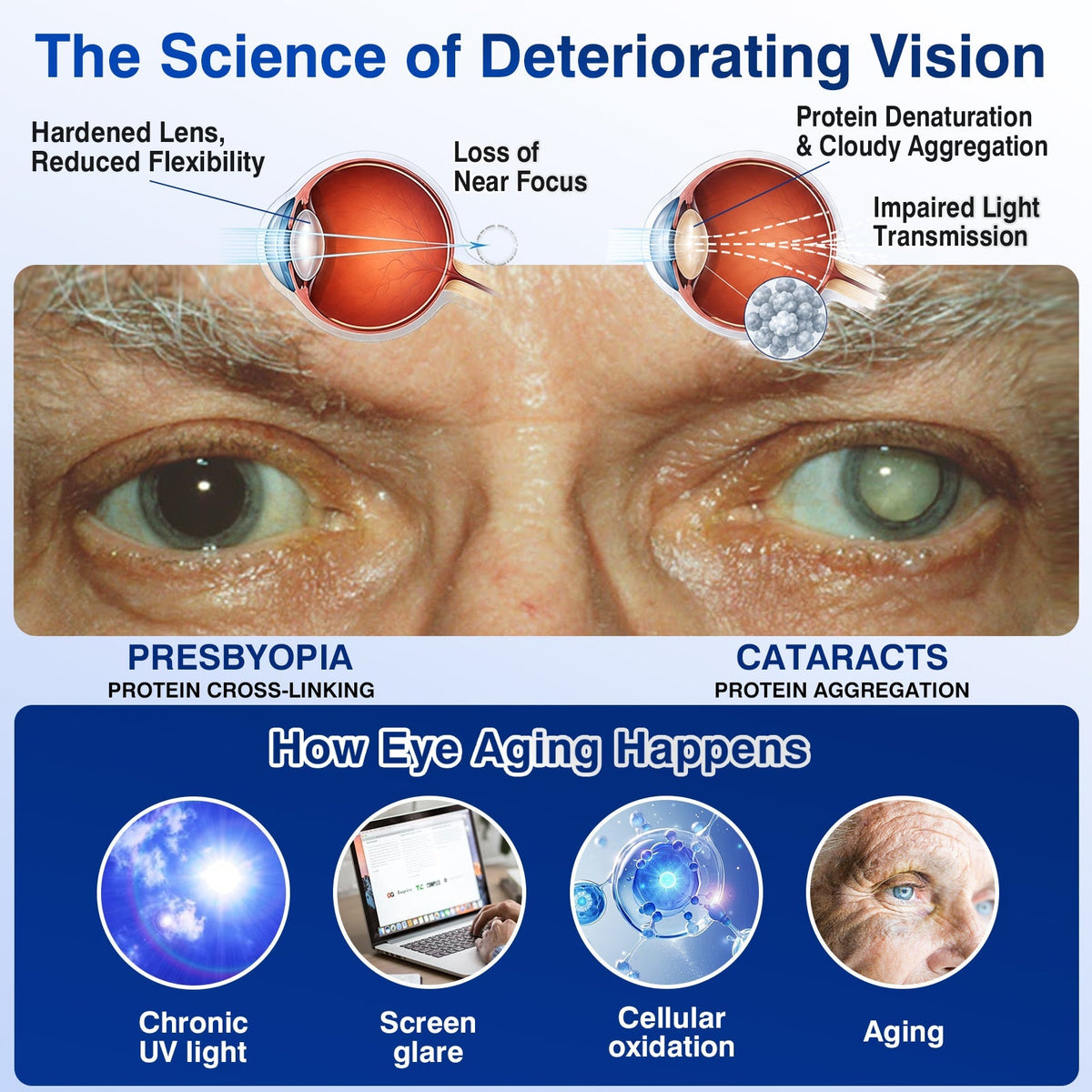 🇺🇸👨‍⚕️✅🥇DR.Fachmer® LensVital Crystalline Degeneration Repair NanoDrops